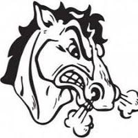 South Fork High School logo